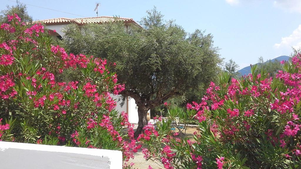 Skoutárion Kavoulakos Studios מראה חיצוני תמונה